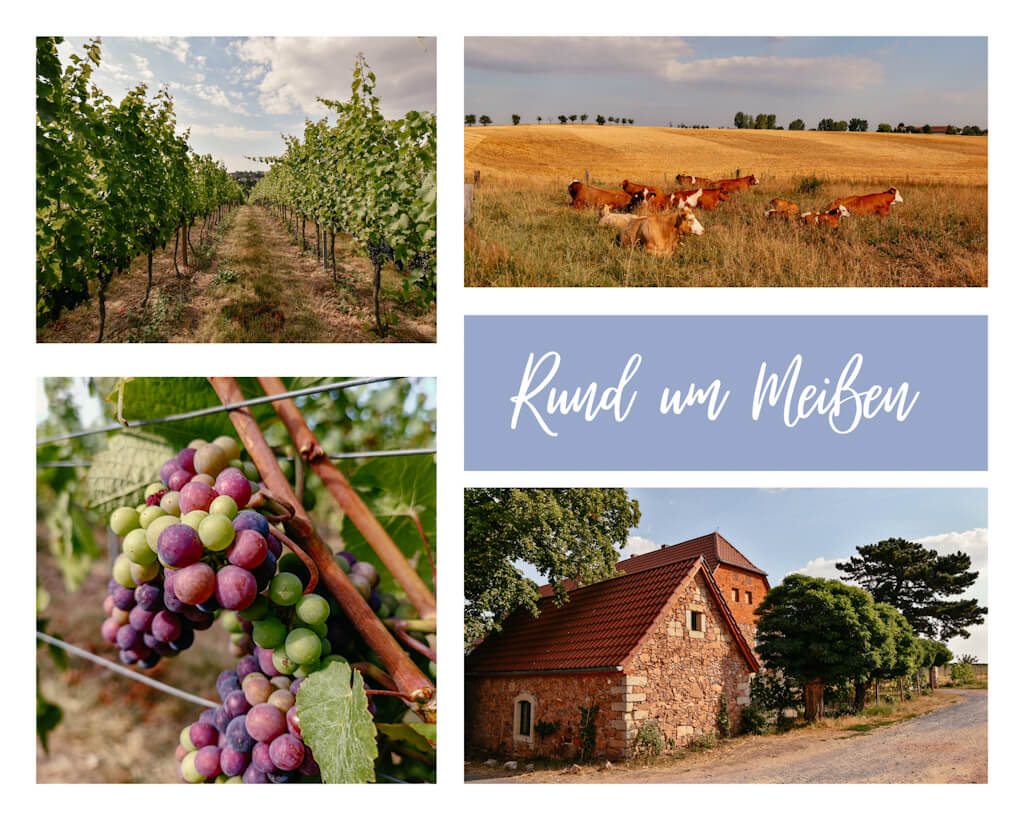 Wandern rund um Mei&szlig;en im Dresden Elbland