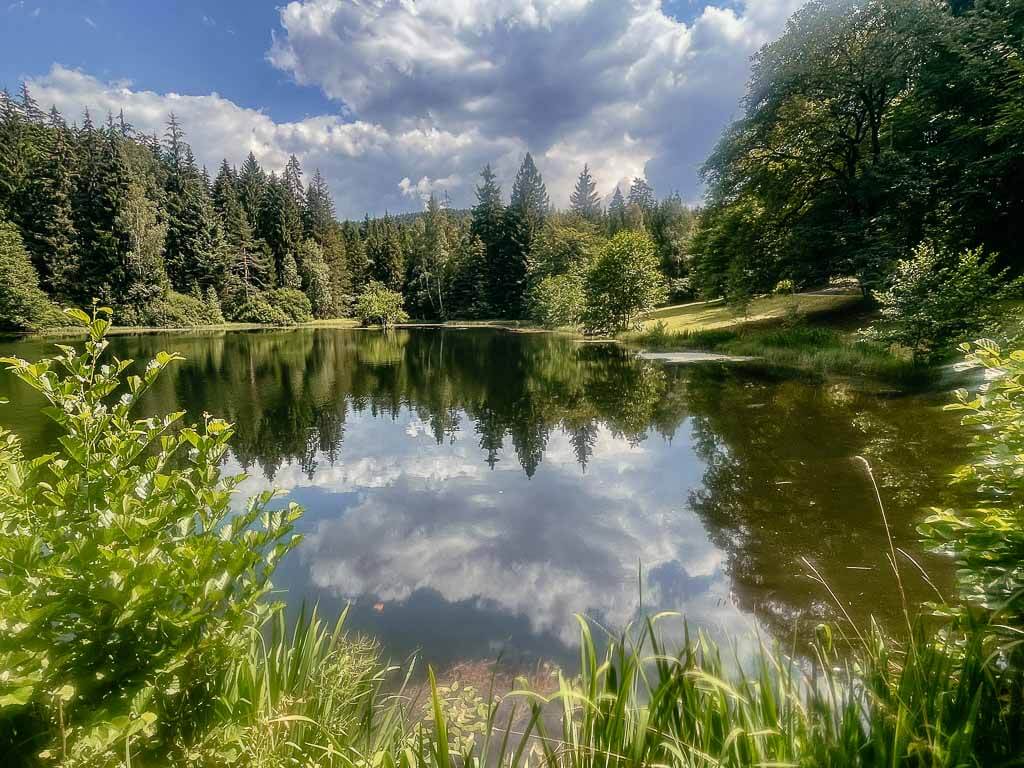 Hinterer Flo&szlig;teich im Vogtland auf dem Erlbacher Bergweg