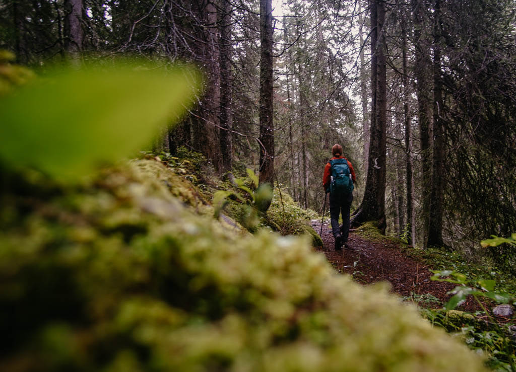 Lechweg - Couchflucht wandert auf m&auml;rchenhaftem Waldpfad