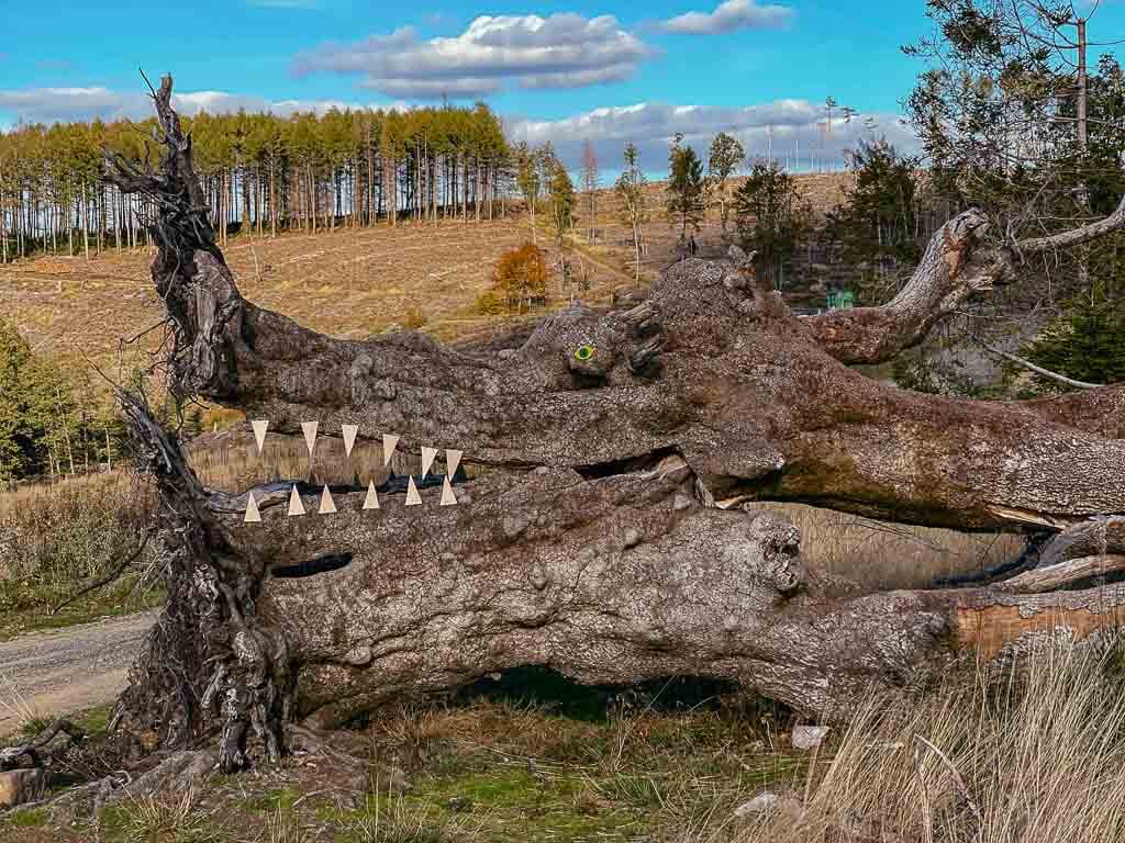 Rothaarsteig - Krokodil-Figur aus Baumst&auml;mmen in der N&auml;he der Haincher H&ouml;he