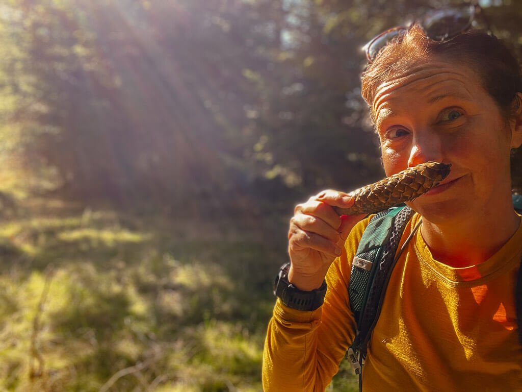 Couchflucht riecht am Tannenzapfen auf dem Rothaartsteig.