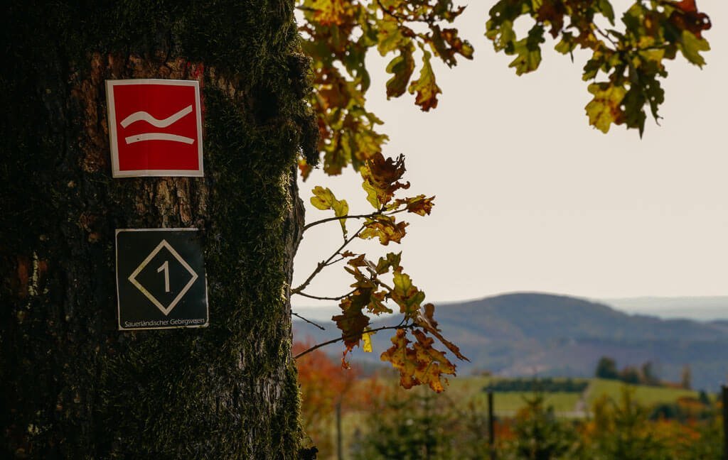 Rothaarsteig Markierung