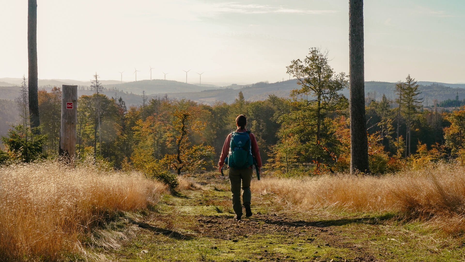 Rothaarsteig - Wanderweg mit Couchflucht in Siegen-Wittgenstein