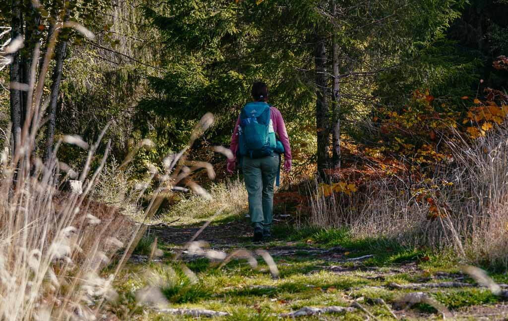 Rothaarsteig - Couchflucht beim Wandern auf einem Waldpfad