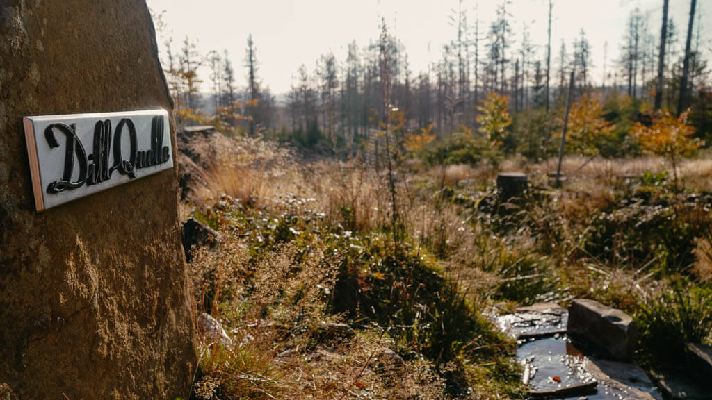Dill-Quelle am Rothaarsteig in Siegen-Wittgenstein