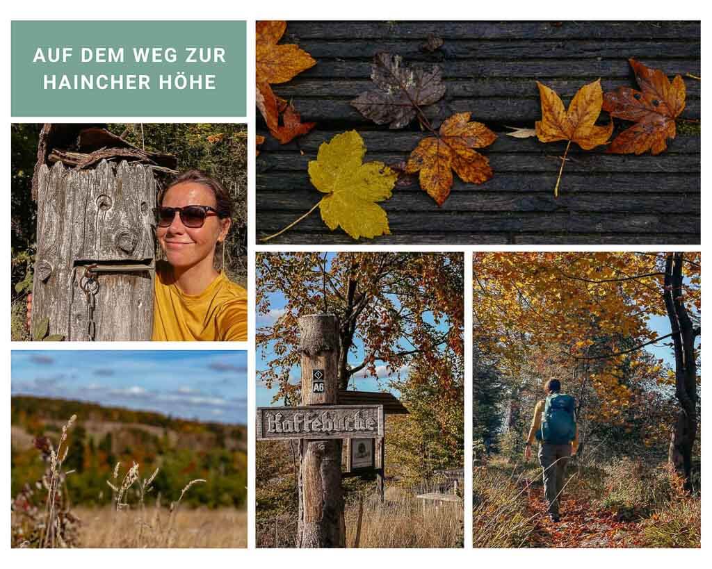 Rothaarsteig - Impressionen des Wanderweges in Siegen-Wittgenstein