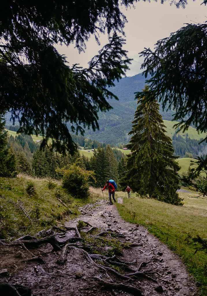 Wandertrilogie Allg&auml;u - Wurzeliger Waldpfad von Burgberg zum Gr&uuml;nten