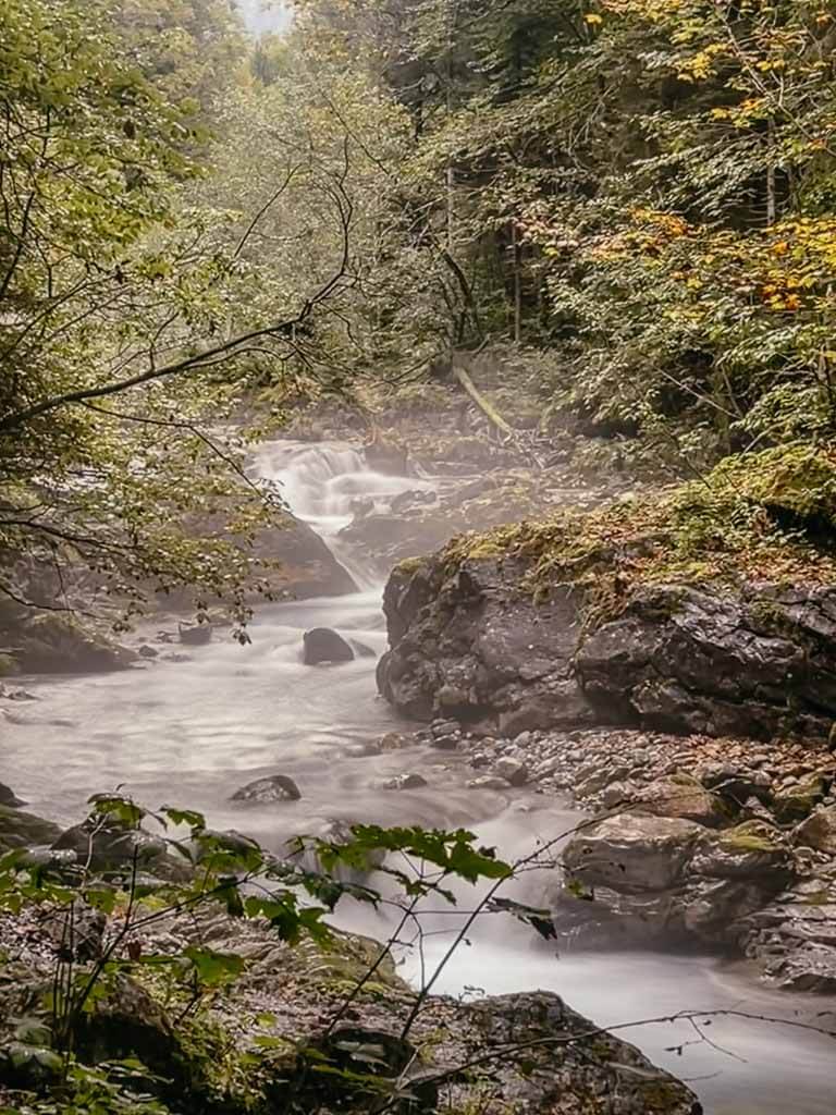 Wildbach Trettach bei Oberstdorf beim Wandern auf der Wandertrilogie Allg&auml;u