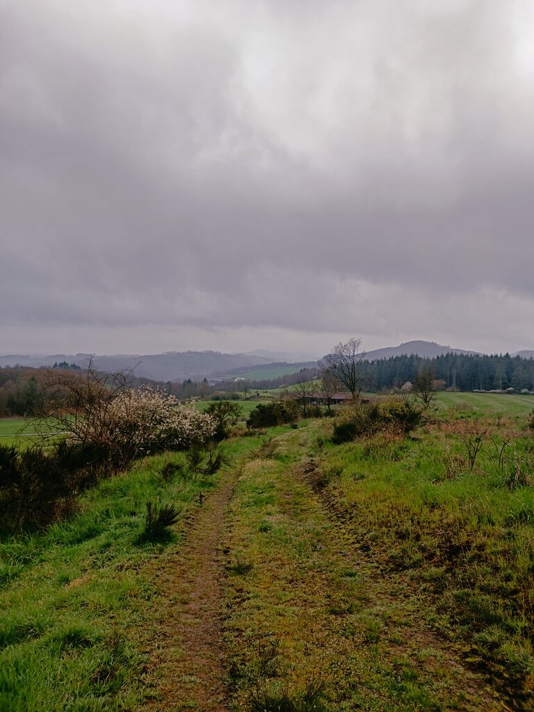 Sauerland Wanderwege - Weitblick auf dem Medebacher Bergweg