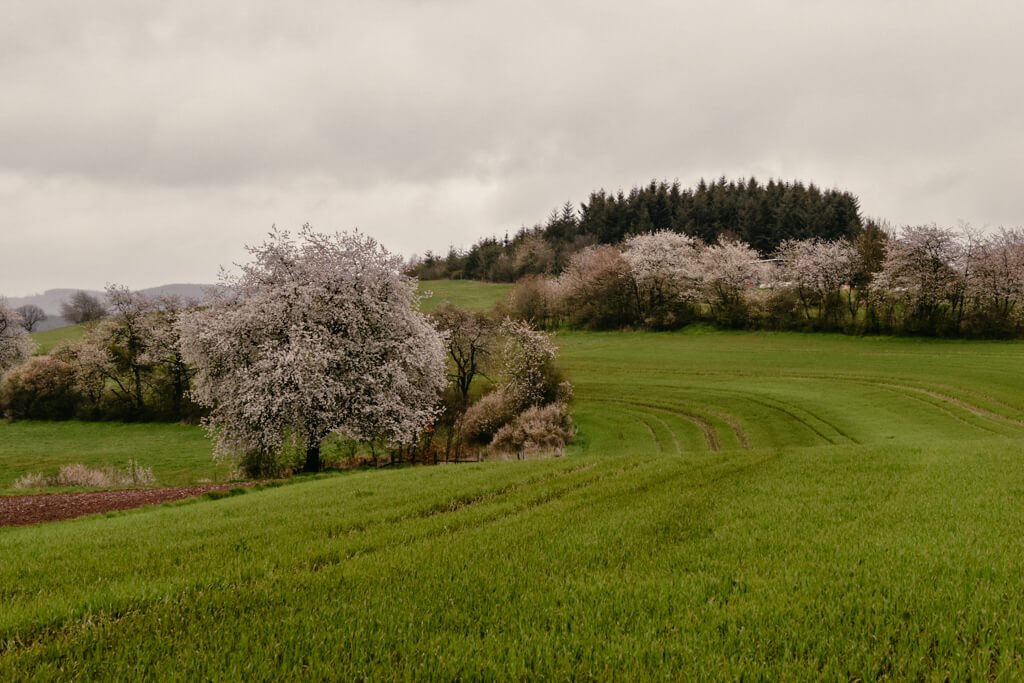 Wanderwege im Sauerland - Medebacher Bucht