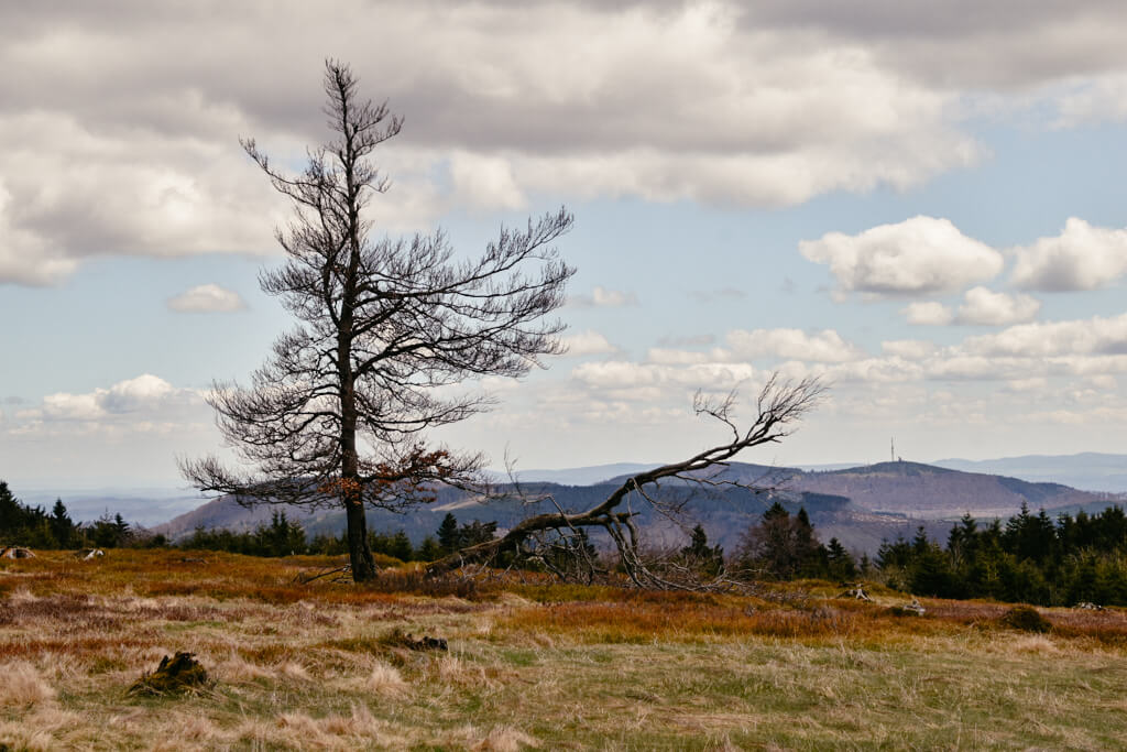 Sauerland Wanderwege Kahler Asten