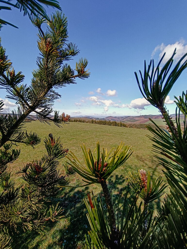 Sauerland Wanderwege - Landschaft Ausblick Langewiese