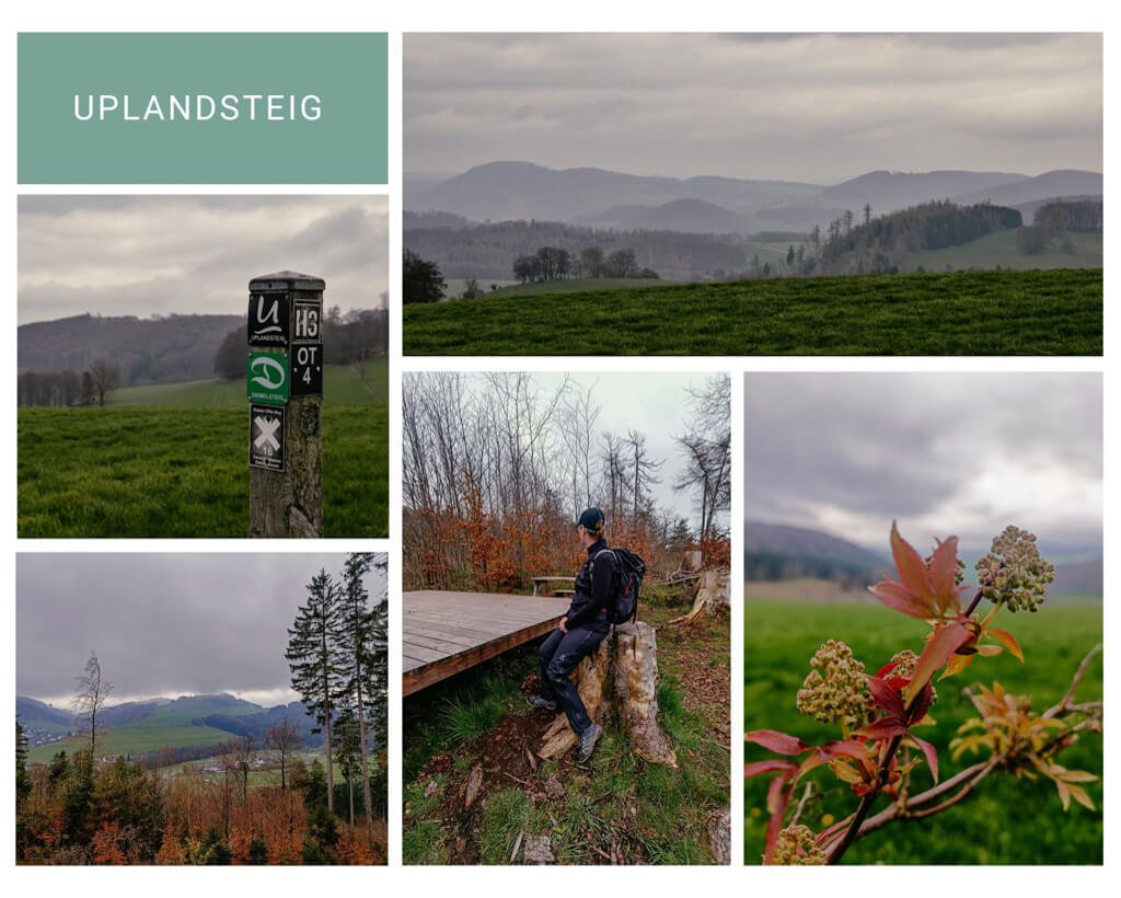 Sauerland Wanderwege - Uplandsteig bei Willingen