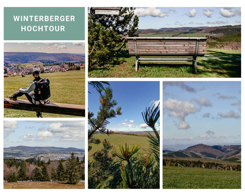 Sauerland Wanderwege Winterberger Hochtour