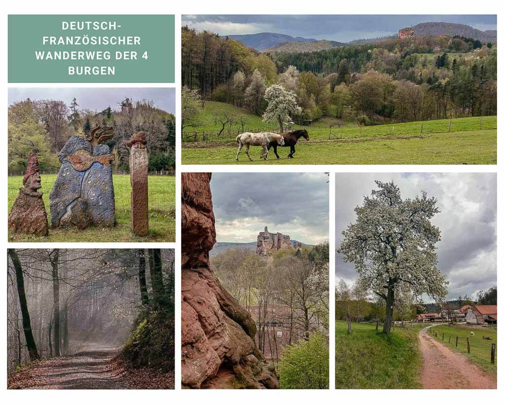 Wandern im Elsass auf dem Deutsch-Franz&ouml;sischen Wanderweg der 4 Burgen bei Lembach
