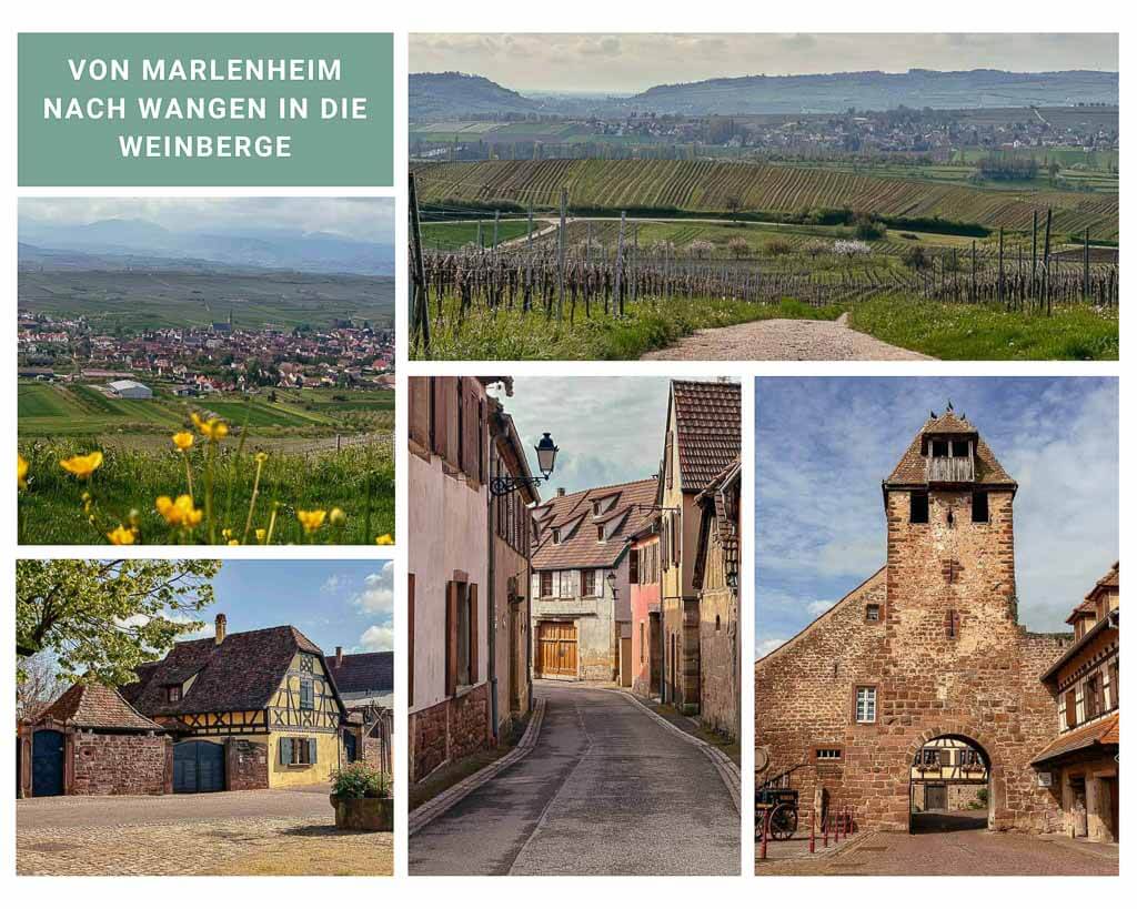 Elsass wandern von Marlenheim nach Wangen