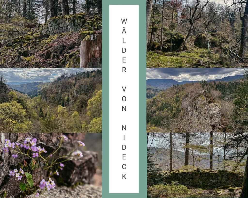 Elsass Wandern in den W&auml;ldern von Nideck