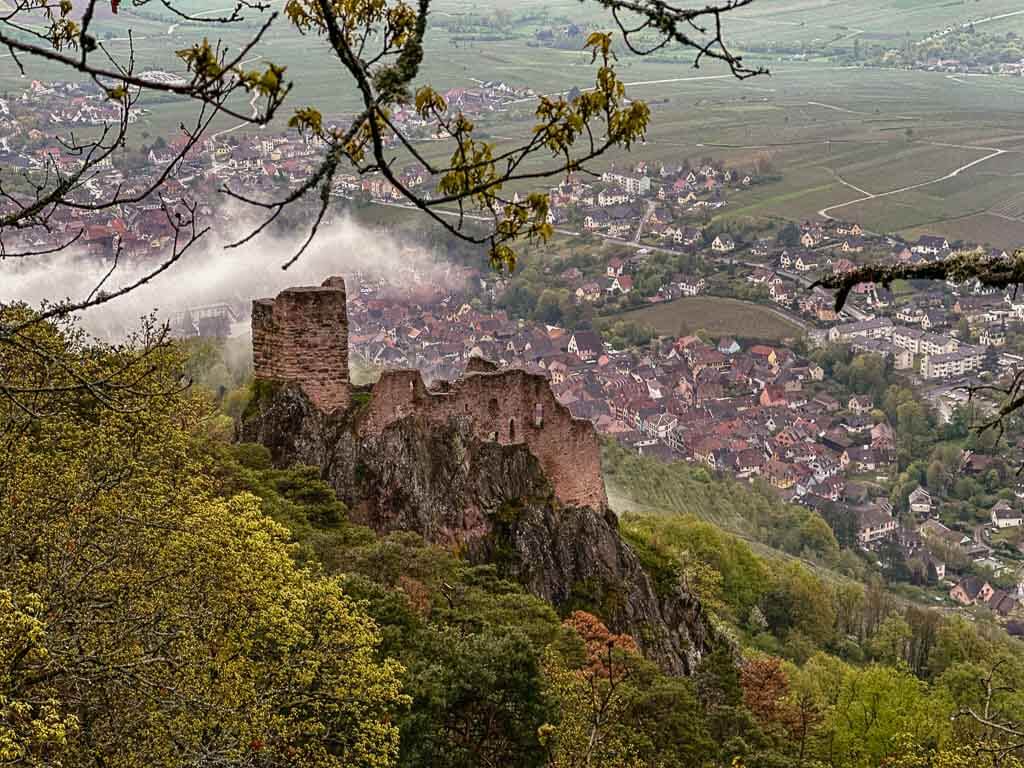 Ulrichsburg beim Wandern im Elsass