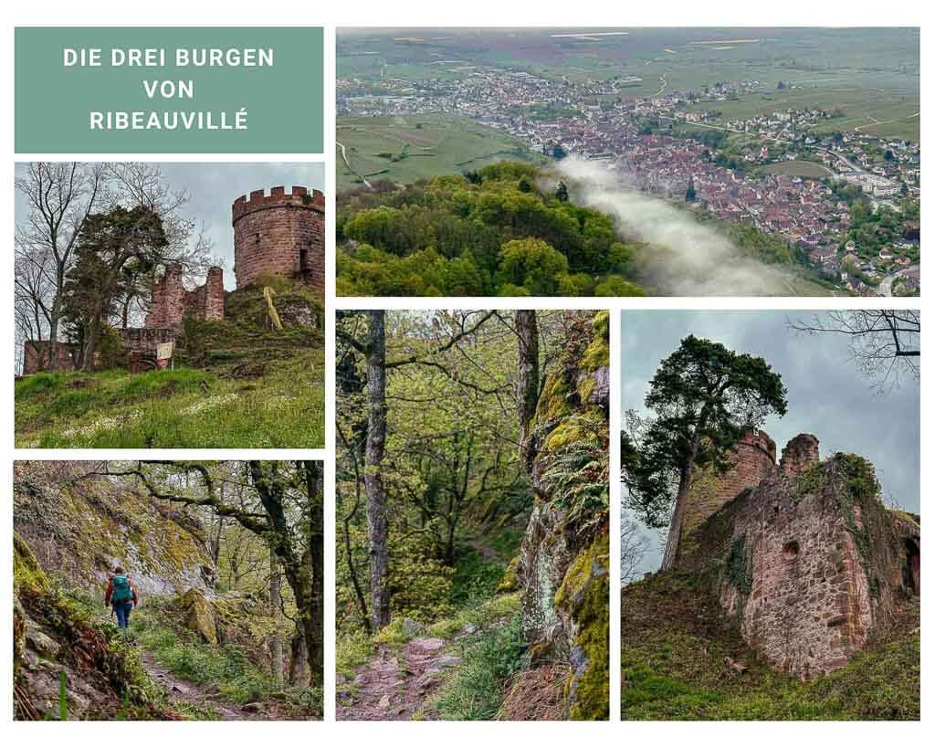 Weg der drei Burgen von Ribeauville beim Wandern im Elsass