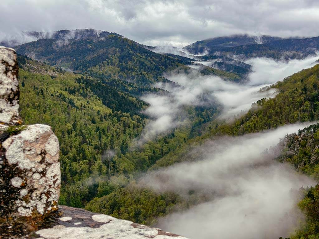 Vogesenw&auml;lder im Elsass bei Ribeauville