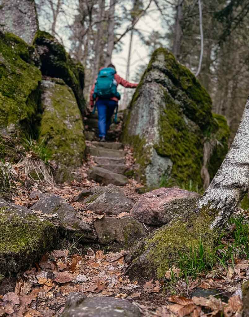 Elsass wandern auf einem Felsenweg zum Petit Ringelsberg