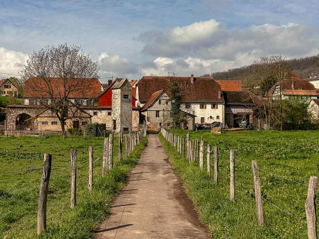 Elsass wandern von Marlenheim nach Wangen