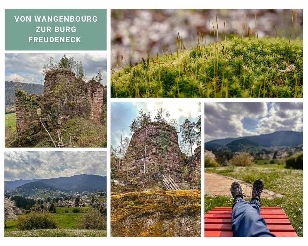 Elsass wandern von Wangenbourg zur Burg Freudeneck