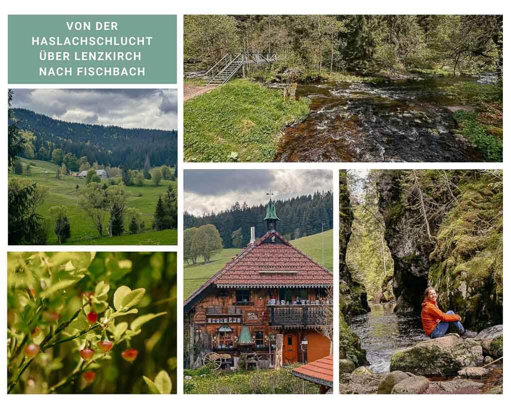 Schluchtensteig wandern von der Haslachschlucht &uuml;ber Lenzkirch nach Fischbach
