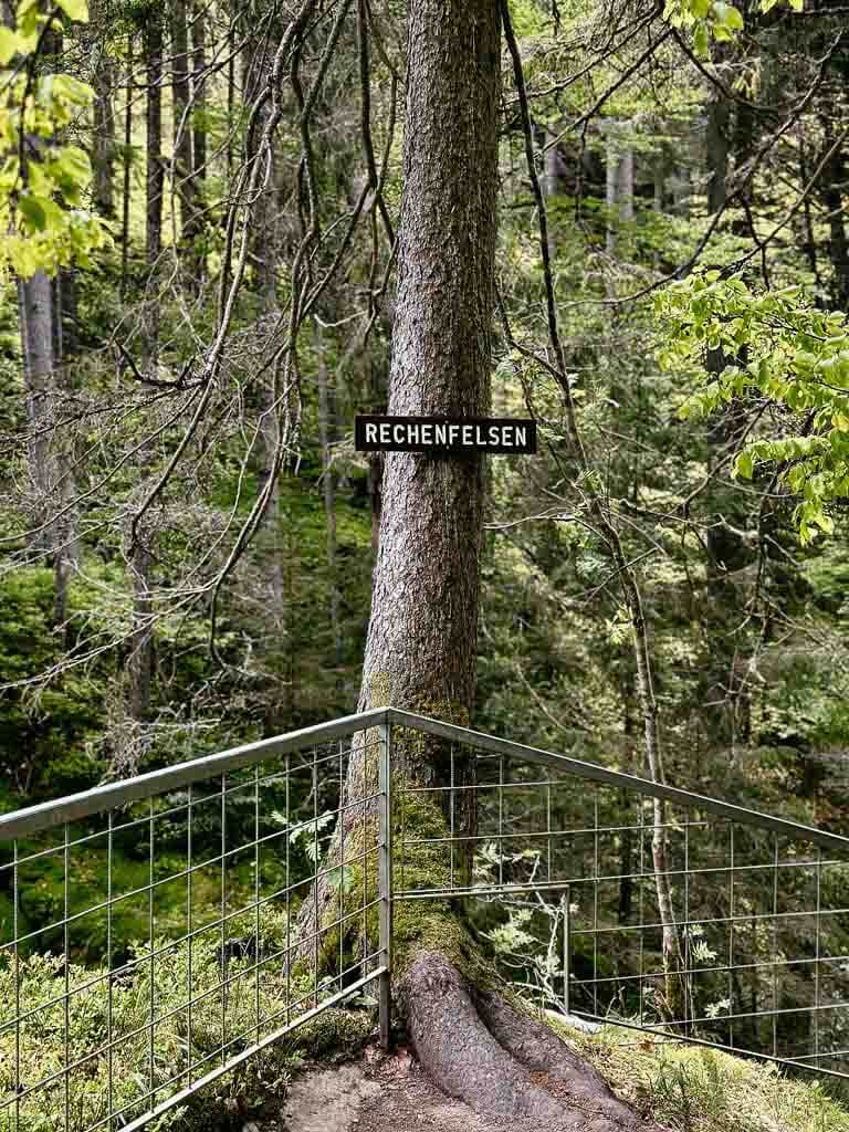 Rechenfelsen in der Haslachschlucht auf dem Schluchtensteig im Schwarzwald