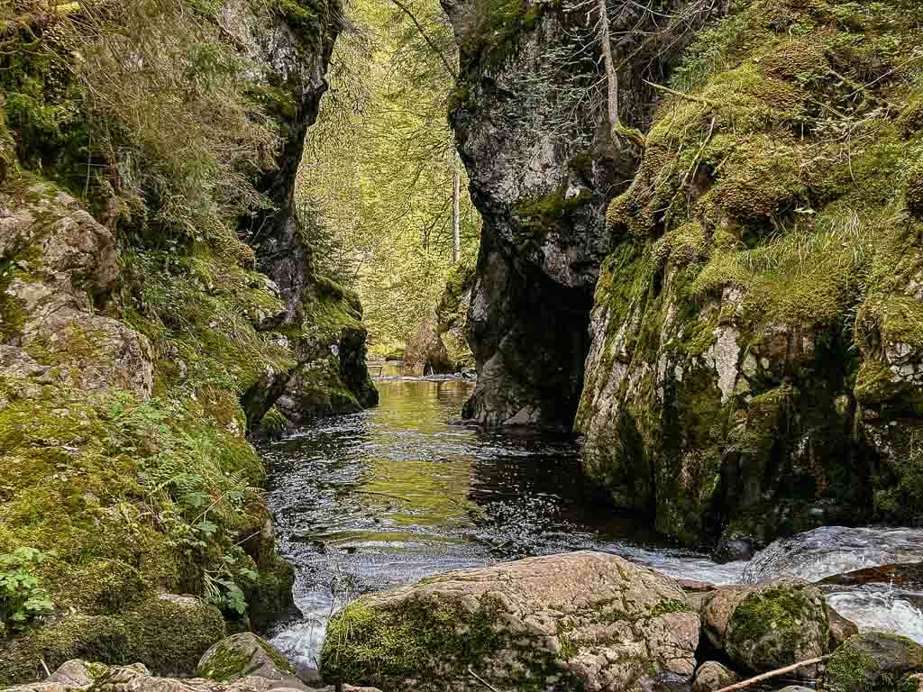 Schluchtensteig Haslachschlucht im Schwarzwald