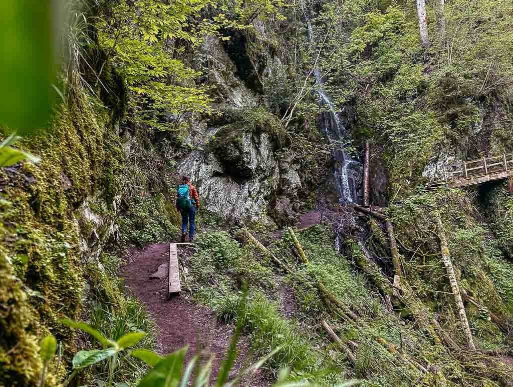 Wanderweg in der Lotenbachklamm im Schwarzwald