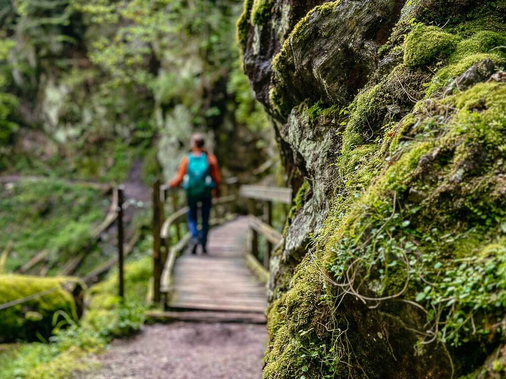 Wanderpfade &uuml;ber Br&uuml;cken und Stege in der Lotenbachklamm im Schwarzwald