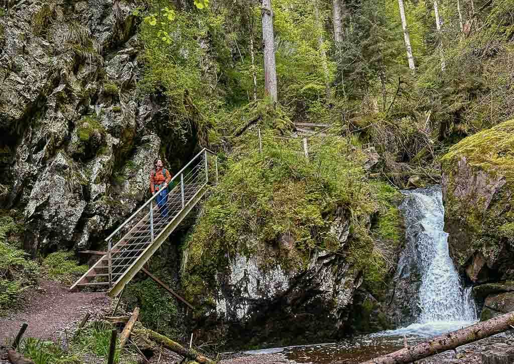 Couchflucht in der Lotenbachklamm im Schwarzwald