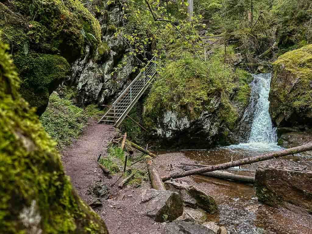 Lotenbachklamm im Schwarzwald