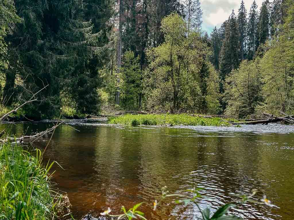 R&ouml;tenbachm&uuml;ndung in der Wutachschlucht auf dem Schluchtensteig