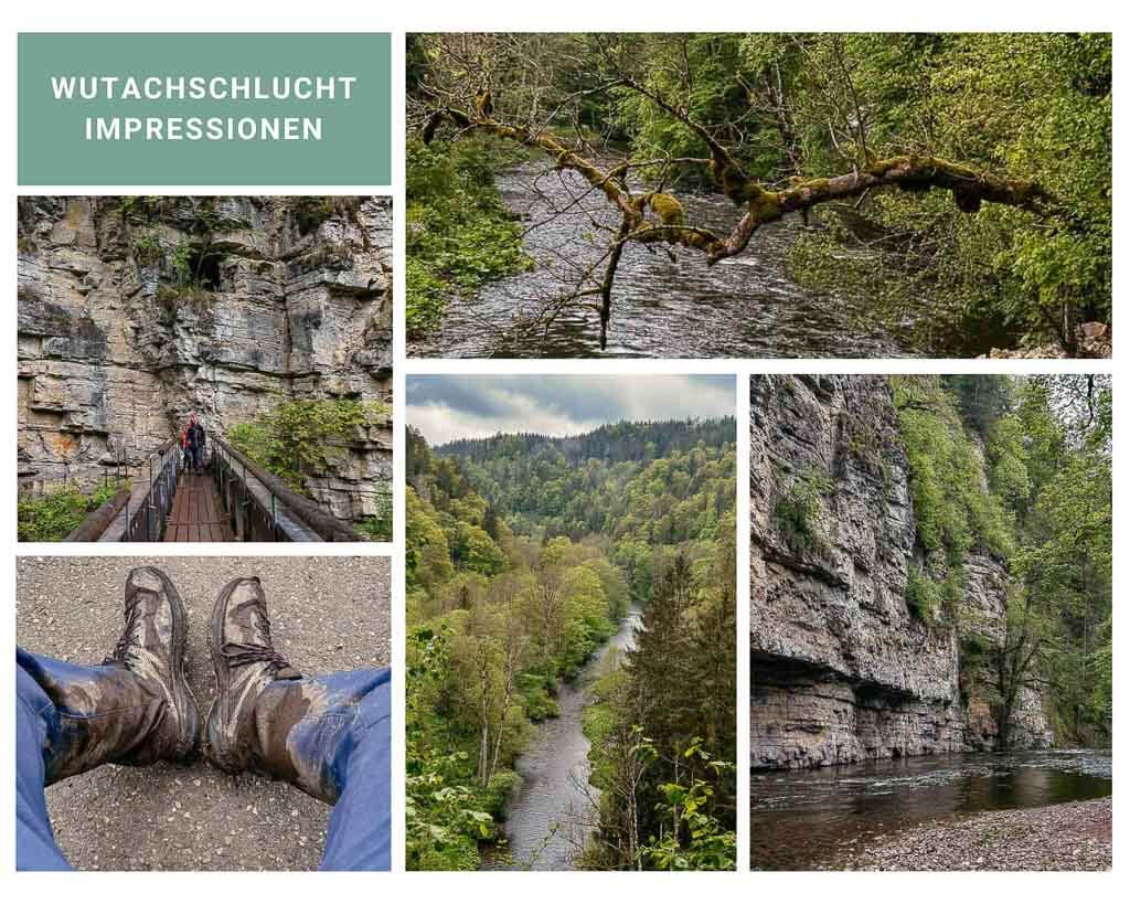 Schluchtensteig wandern in der Wutachschlucht im Schwarzwald