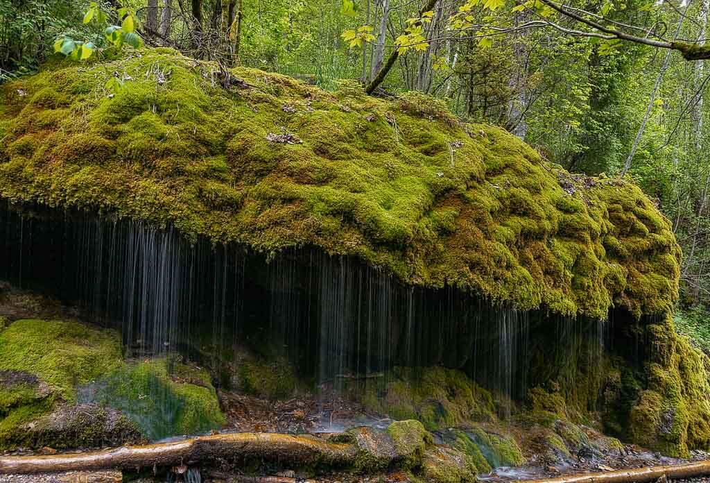 Dietfurter Wasserfall auf dem Schluchtensteig im Schwarzwald