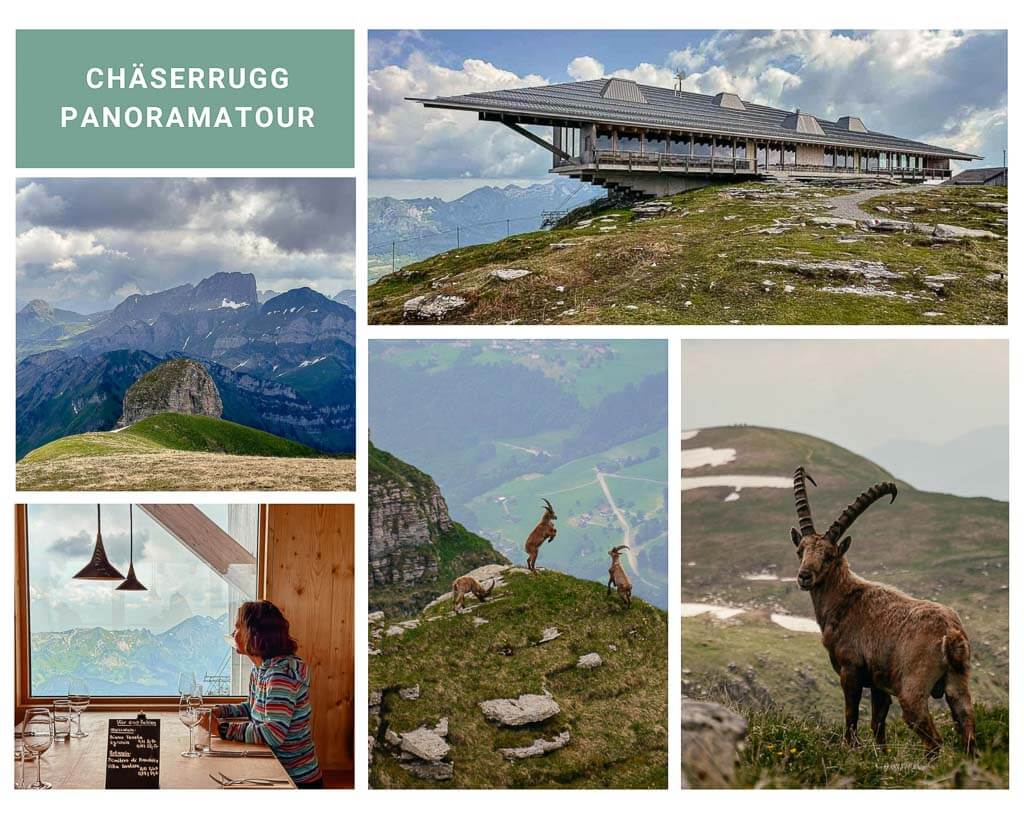 Grand Tour of Switzerland - Wandern auf dem Ch&auml;serrugg
