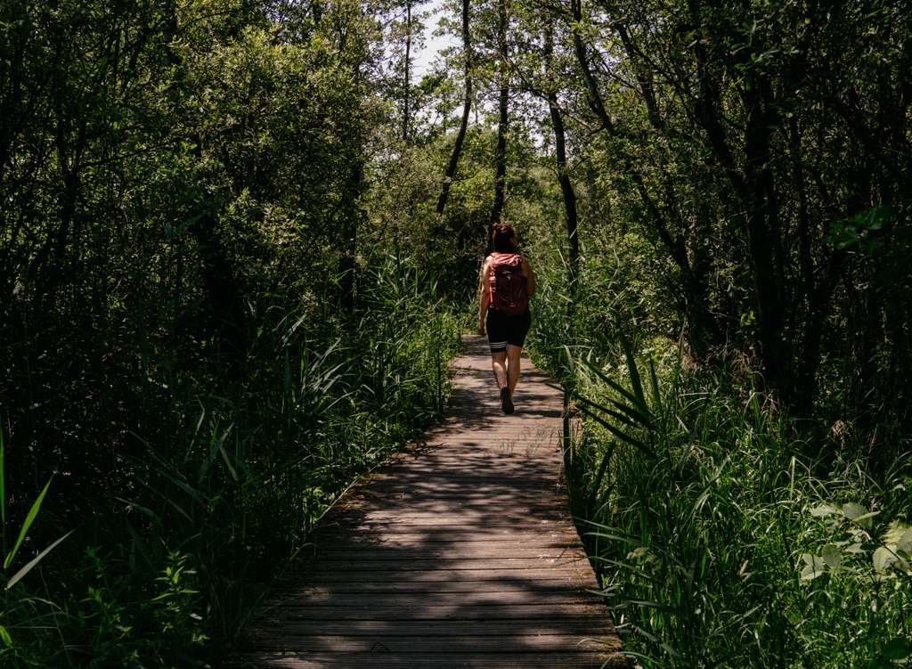Wandern im Sumpfgebiet De Moerputten in Brabant