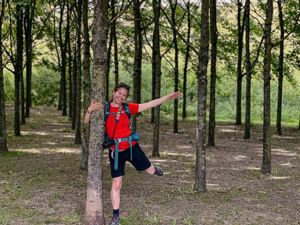 Birkenhain im Rheinpark Duisburg