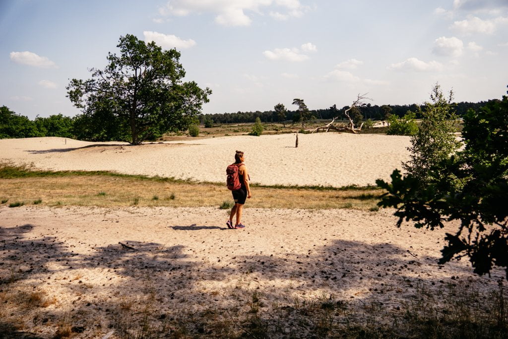 Loonse en Drunense Duinen Nationalpark in Brabant