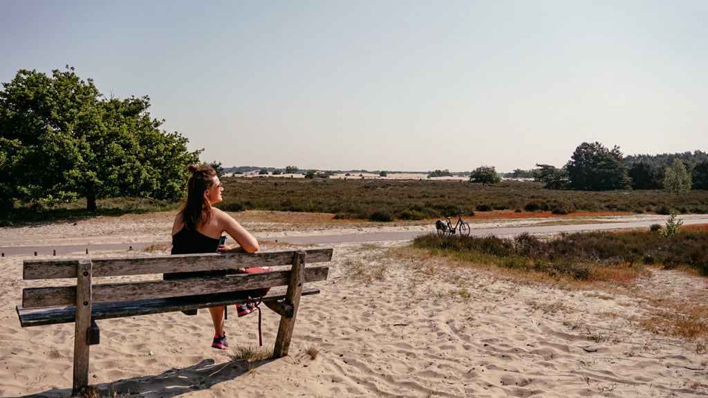D&uuml;nenlandschaft im Loonse en Drunense Duinen Nationalpark in Brabant