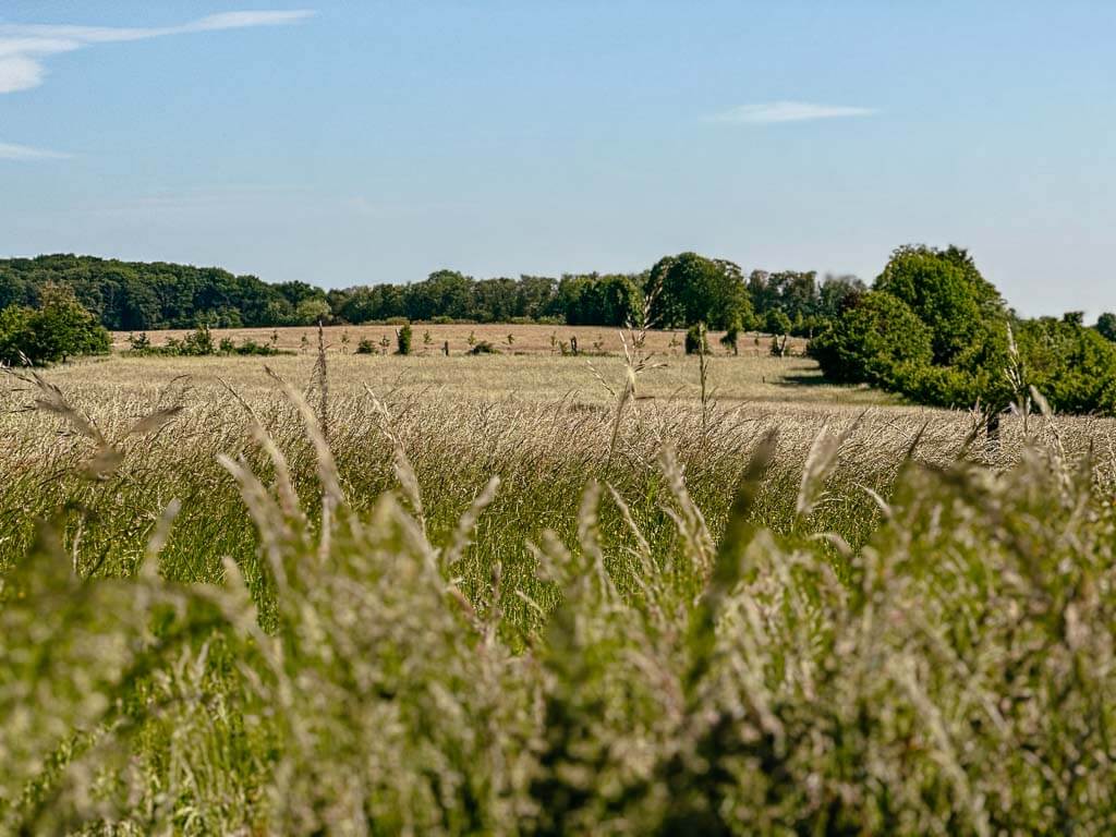 Landschaftliche Idylle am Auberg in M&uuml;lheim an der Ruhr