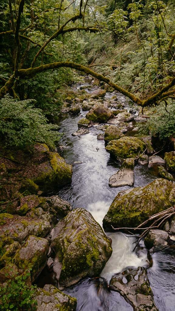 Albschlucht auf dem Albsteig im Schwarzwald
