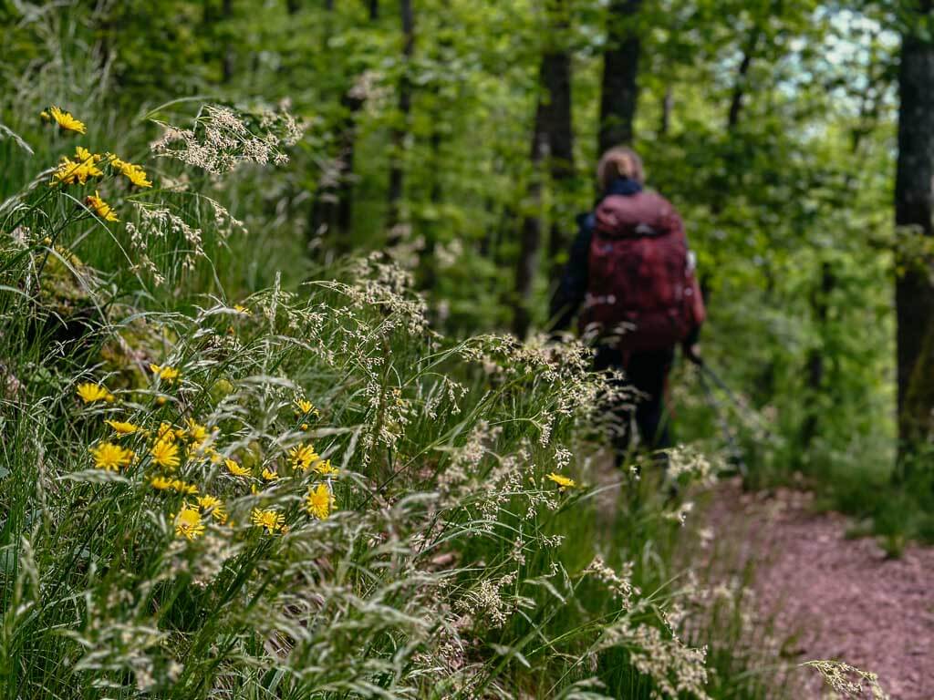 Trekking im Schwarzwald auf dem Albsteig