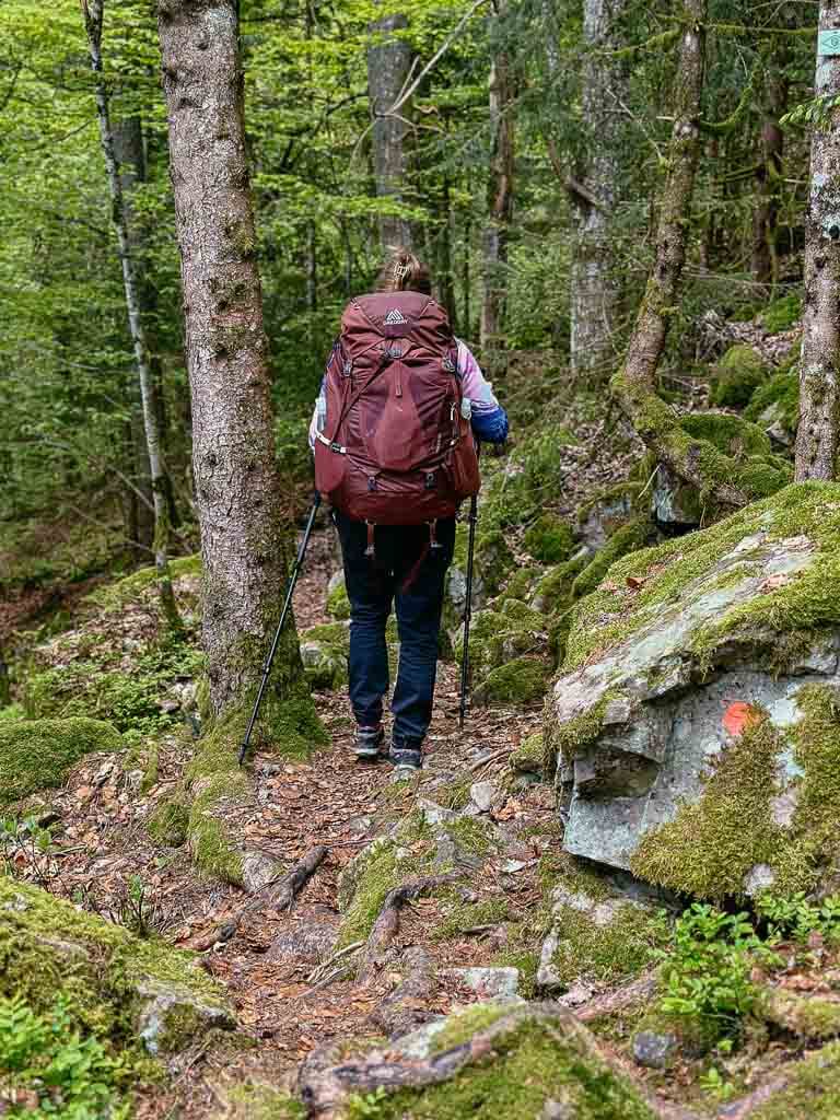 Schmugglerpfad auf dem Wanderweg Albsteig im Schwarzwald