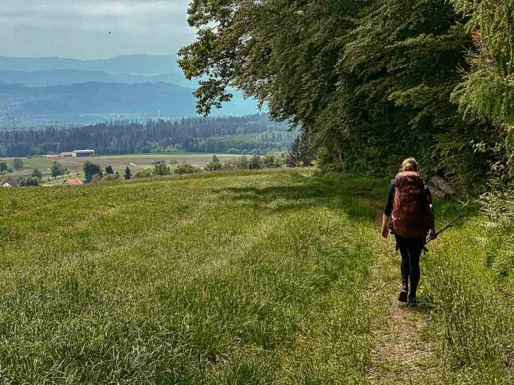 Trekking im Schwarzwald auf dem Hochrheinh&ouml;henweg bei Murg