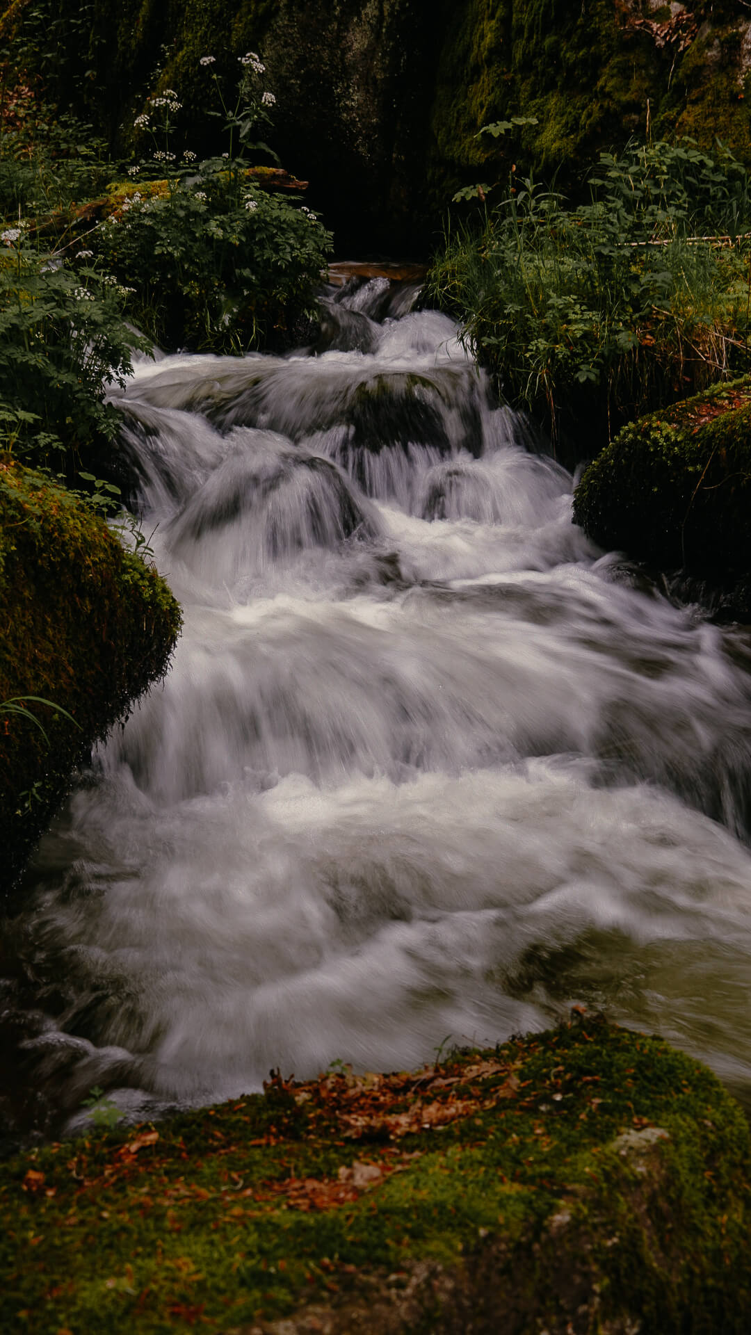 H&ouml;llbach Wasserfall auf dem Albsteig im Schwarzwald