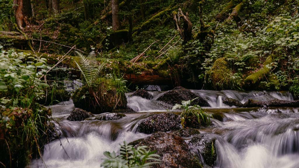 H&ouml;llbach Wasserfall auf dem Albsteig im Schwarzwald