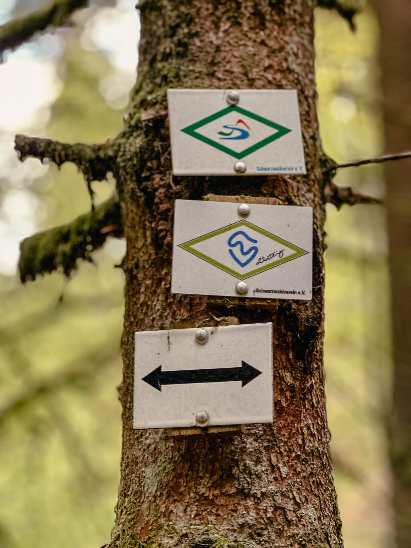 Markierung Albsteig und Schluchtensteig im Schwarzwald